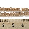 Natural White Shell Dyed Beads Strands BSHE-Z005-03A-4