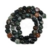 Natural Indian Agate Beads Strands G-Q060-E08-01-3