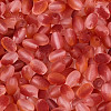 Frosted Glass Seed Beads SEED-N008-05E-3