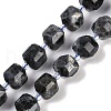 Natural Larvikite Beads Strands G-B125-O05-01-1