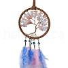 Iron Woven Web/Net with Feather Pendant Decorations AJEW-B017-20-4