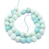 Natural Amazonite Beads Strands G-K310-A02-10mm-2