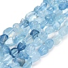 Natural Aquamarine Beads Strands G-P568-C13-01-2
