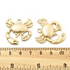 Brass Pendants KK-B134-09G-2