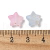 Frosted Acrylic Charms OACR-M023-04G-3