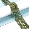 Natural Green Apatite Beads Strands G-I348-01-4