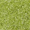 MIYUKI Delica Beads SEED-X0054-DB1888-3