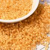 12/0 Transparent Glass Seed Beads X-SEED-F003-03C-01-1