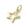 Brass Charms KK-H475-38G-01-2