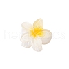 Plastic Claw Hair Clips PW-WG07B2B-01-1