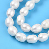 Natural Cultured Freshwater Pearl Beads Strands PEAR-N012-07W-01-4