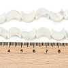Natural White Shell Beads Strands SSHEL-10X12-3