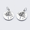 Eco-Friendly 316 Surgical Stainless Steel Micro Pave Cubic Zirconia Charms X-RB-I078-75P-NR-1