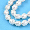 Natural Cultured Freshwater Pearl Beads Strands PEAR-N012-07Z-01-4