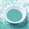 MIYUKI Delica Beads SEED-X0054-DB0166-1