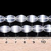Dyed Natural Selenite Beads Strands G-T138-233A-4