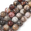Natural Mexican Lace Agate Beads Strands G-E578-02C-01-1