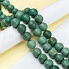 Natural Howlite Beads Strands G-C180-16F-4