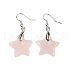 Natural & Synthetic Mixed Stone Dangle Earrings EJEW-F343-C-3