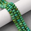 Natural Magnesite Beads Strands TURQ-P027-29-4x6mm-4