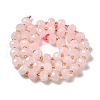 Natural Rose Quartz Beads Strands G-P508-A18-01-3