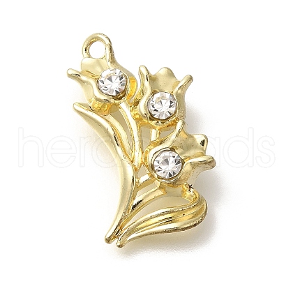 Alloy Pendants FIND-Z067-05G-06-1