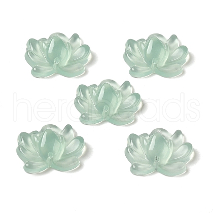Transparent Acrylic Connector Charms OACR-G036-13-1