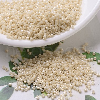 MIYUKI Delica Beads SEED-J020-DB0204-1