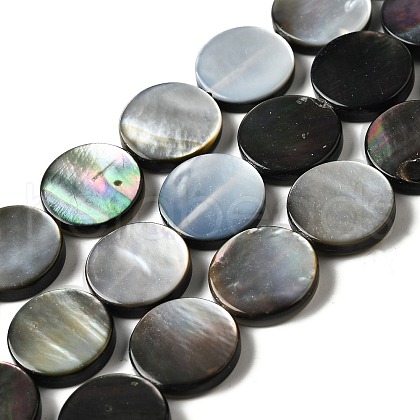 Natural Black Lip Shell Beads Strands BSHE-D300-05-14mm-1