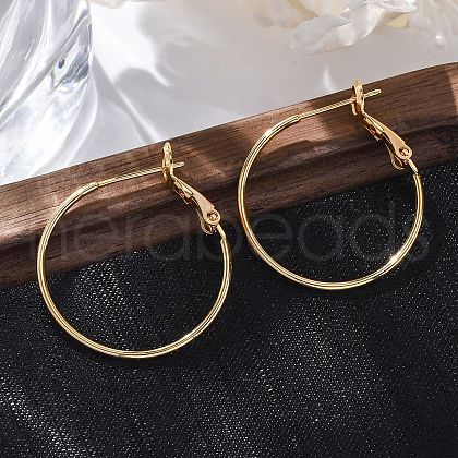 Brass Hoop Earrings EJEW-R014-17A-G-1