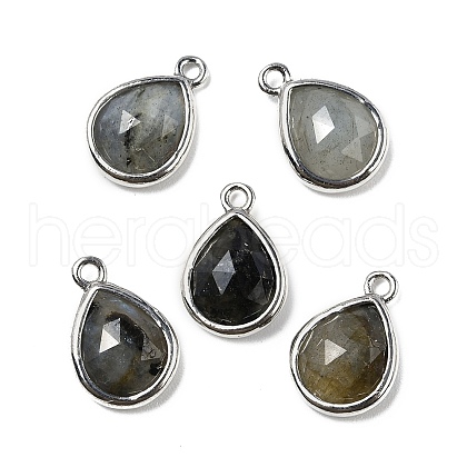 Natural Labradorite Faceted Pendants G-U019-05P-08-1
