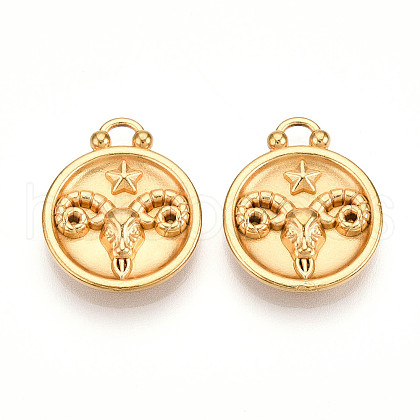 304 Stainless Steel Pendants STAS-N109-148G-01-1