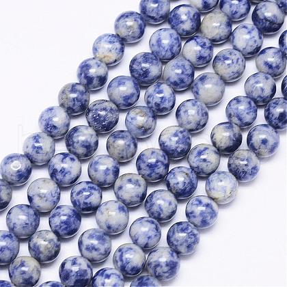 Natural Blue Spot Jasper Bead Strands G-F425-26-1