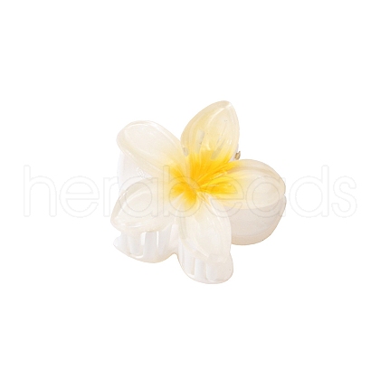 Plastic Claw Hair Clips PW-WG07B2B-01-1