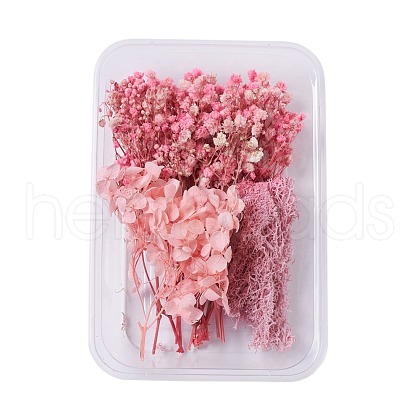 Dried Flowers DIY-D052-05-1