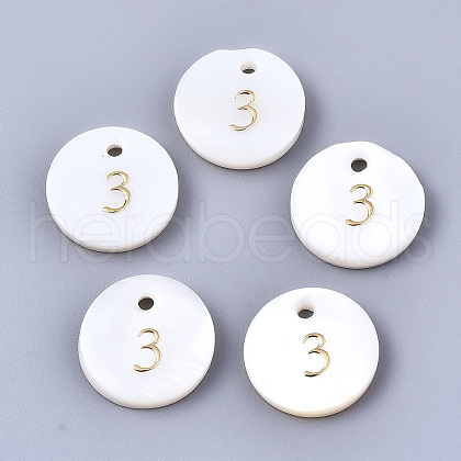 Natural Freshwater Shell Charms SHEL-Q023-03-1