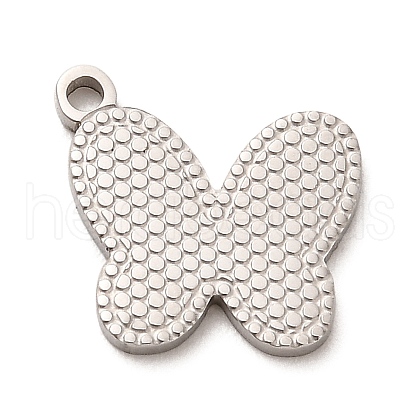 Non-Tarnish 304 Stainless Steel Charms STAS-E199-02P-1