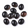 Translucent Glass Cabochons GLAA-T023-02C-3