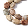 Natural Aqua Terra Jasper Beads Strands G-L624-E03-14x10mm-4