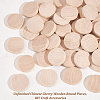 Unfinished Schima Wooden Round Pieces WOOD-WH0027-73-4
