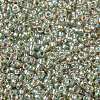 MIYUKI Round Rocailles Beads SEED-JP0010-RR3193-3