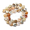 Dyed & Heated Natural Fire Crackle Agate Beads Strands G-C116-A175-01-3