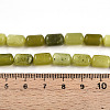 Natural Xiuyan Jade Beads Strands G-N346-01B-12-5