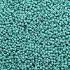 TOHO Round Seed Beads X-SEED-TR11-0413-2