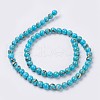 Sea Shell and Synthetic Turquoise Assembled Beads Strands X-G-G758-04-6mm-2