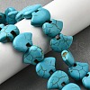 Synthetic Turquoise Bead Strands G-M150-27-01-5