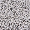 MIYUKI Delica Beads SEED-X0054-DB1528-2