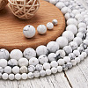 4 Strands 4 Style Natural Howlite Beads Strands G-TA0001-34-13