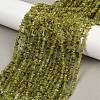 Natural Peridot Beads Strands G-P332-48-02-2