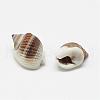 Natural Spiral Shell Beads BSHE-S613-02-1